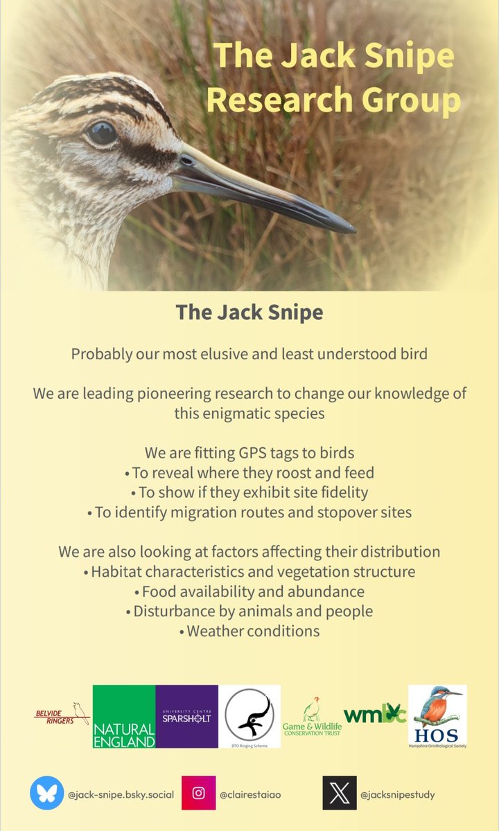 Jack Snipe Study Group (@jacksnipestudy) on Twitter photo It was great to present our Jack Snipe Tagging Project at yesterday's <a href="/UC_Sparsholt/">University Centre Sparsholt</a> Research Conference & for third year BSc students to present their own dissertation research. We'll have further updates in the near future, so please keep a look out for new posts. It was great to present our Jack Snipe Tagging Project at yesterday's <a href="/UC_Sparsholt/">University Centre Sparsholt</a> Research Conference & for third year BSc students to present their own dissertation research. We'll have further updates in the near future, so please keep a look out for new posts.