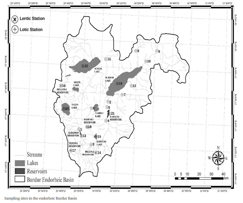 You can access our latest article published in Reviews in Fish Biology and Fisheries (Q1) on Burdur Closed Basin and fish communities under water stress from the link below!  doi.org/10.1007/s11160…