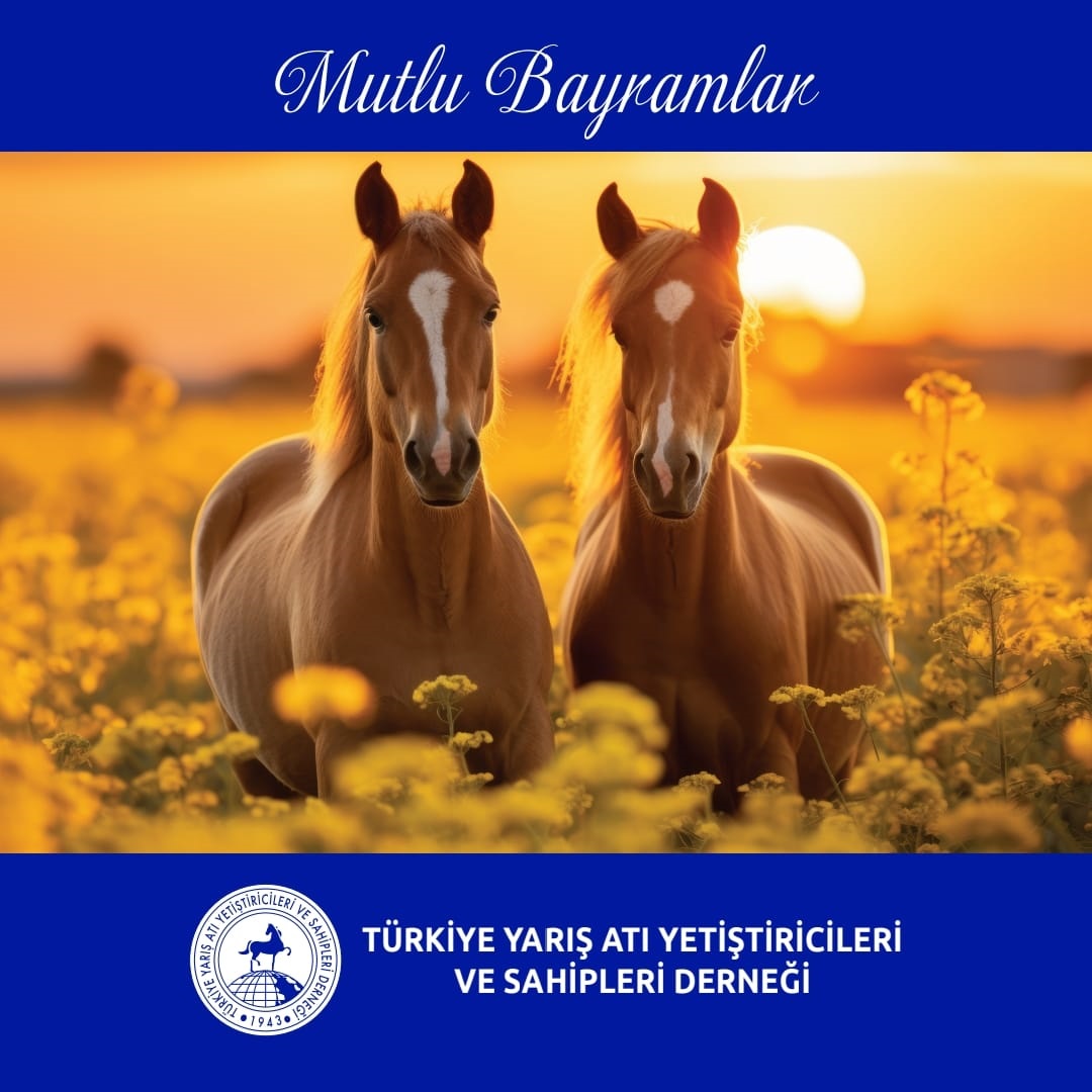 Kurban Bayramınızı en içten dileklerimizle kutlar, sağlık ve mutluluk dolu nice bayramlar dileriz.