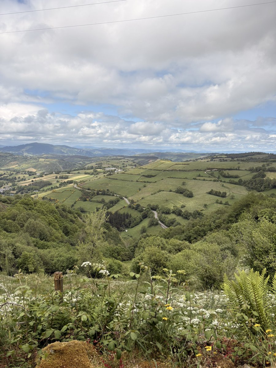 Galicia Spain. #camino