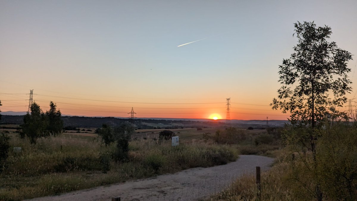 Hoy en el #DiaMundialDelMedioAmbiente seguimos luchando por liberar el #CerroDelBaile de #pelotazos. 
Porque liberar de ladrillo el Cerro es salvar la Dehesa.
#SalvemosLaDehesa
#ElCerroNoSeToca