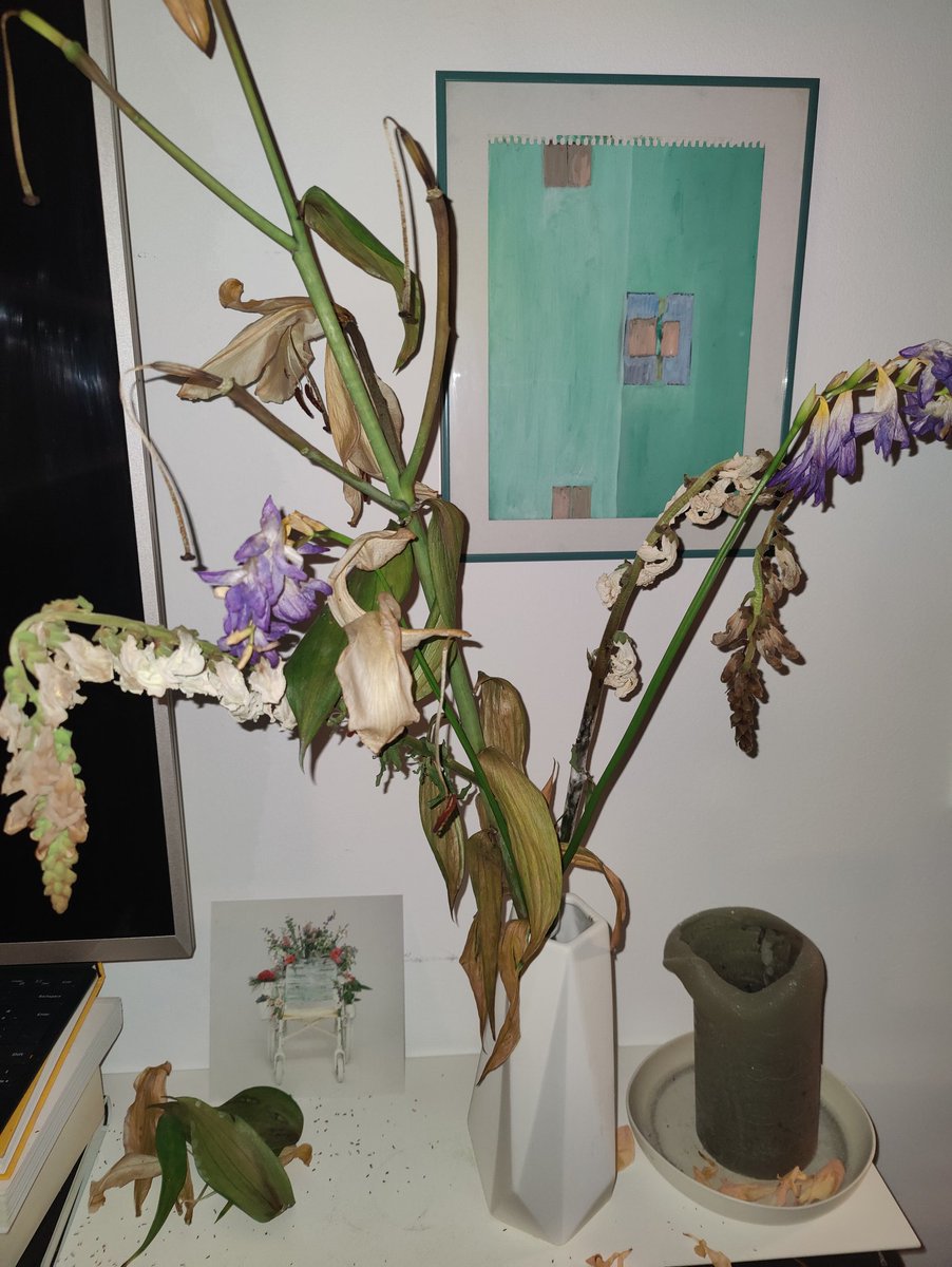 joja https://bsky.app/profile/jojaone.bsky.social (@jojaone) on Twitter photo 