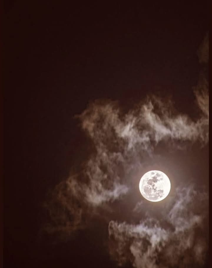 MPΛCΛL  (@mrtpcl) on Twitter photo İyi geceler.. 🌙 İyi geceler.. 🌙
