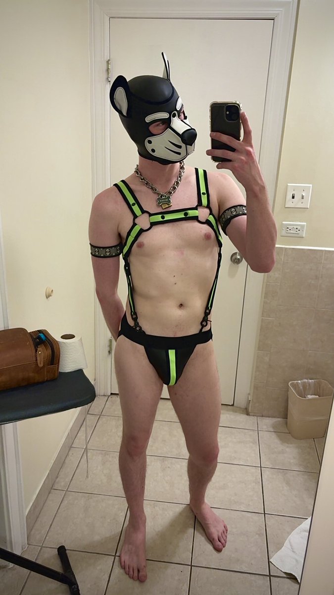 As much as it pains me to say, a dog looks good in green 😏💚