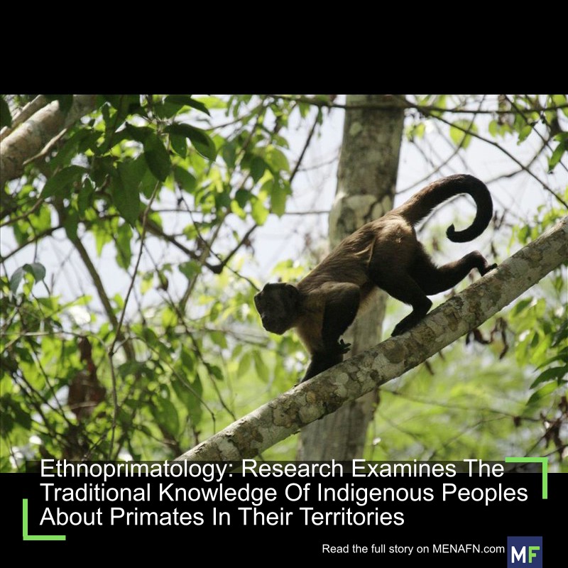 MENAFN's tweet image. Ethnoprimatology: Research Examines The Traditional Knowledge Of Indigenous Peoples About Primates In Their Territories #Ethnoprimatology: #Research #Examines #Traditional #Knowledge #Indigenous #Peoples #About #Primates #Their #Territories #Investment… dlvr.it/TLBfkz