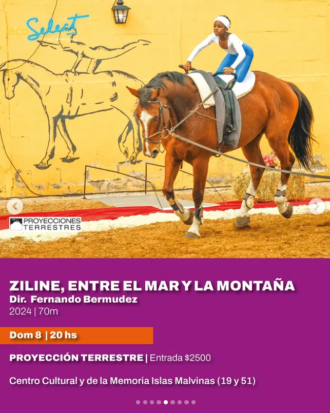 Diego Diaz tweet media