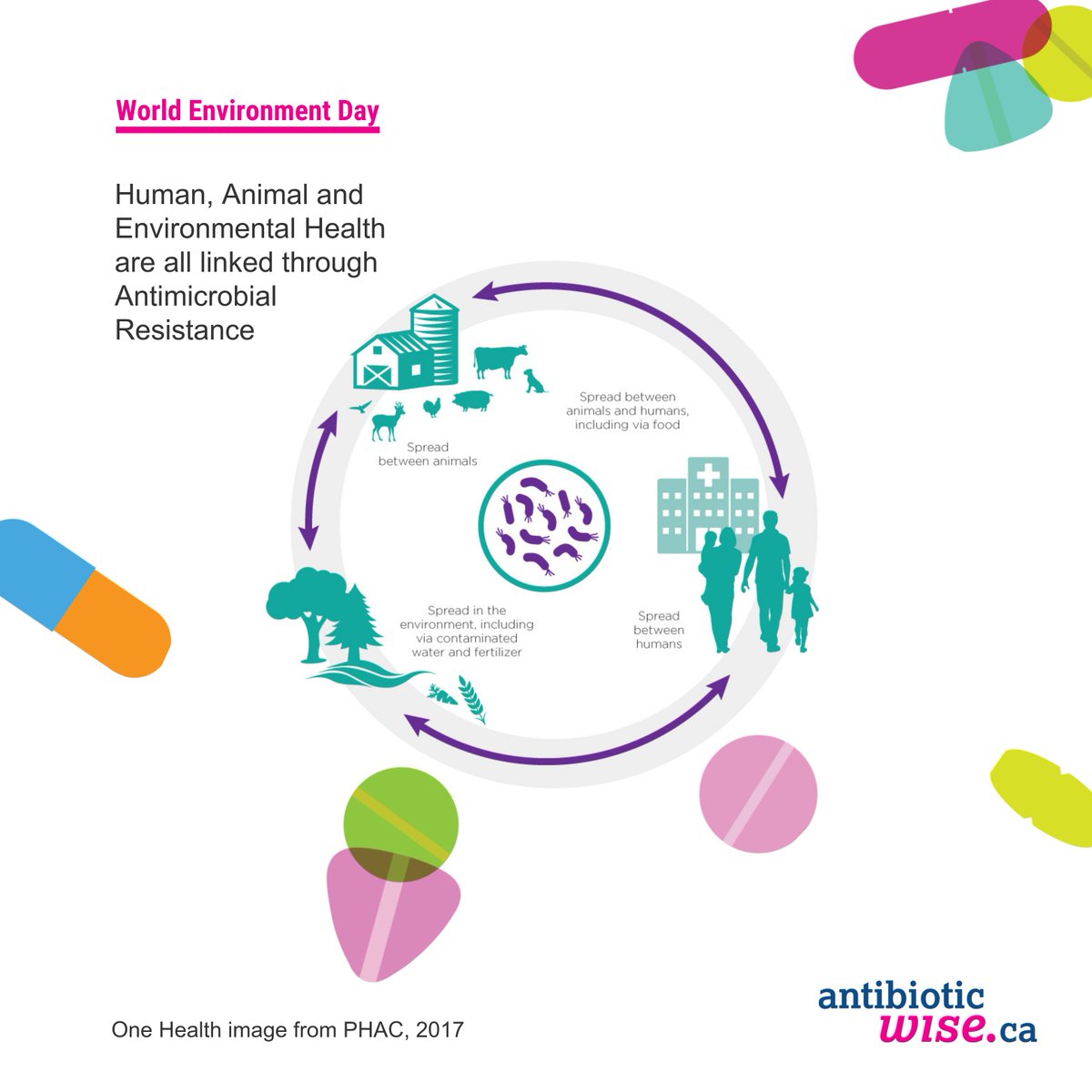 It’s World Environment Day #AntibioticResistance impacts the environment too. Learn more about what you can do at antibioticwise.ca