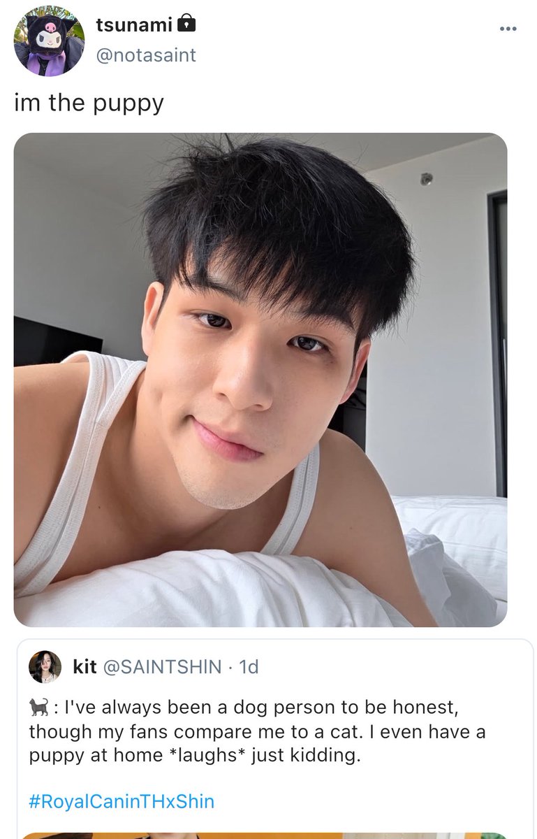 nekoharua's tweet photo. short #saintshin au
in which they have to kiss in private because the world ships shin with someone else. https://t.co/hRTl156DvK