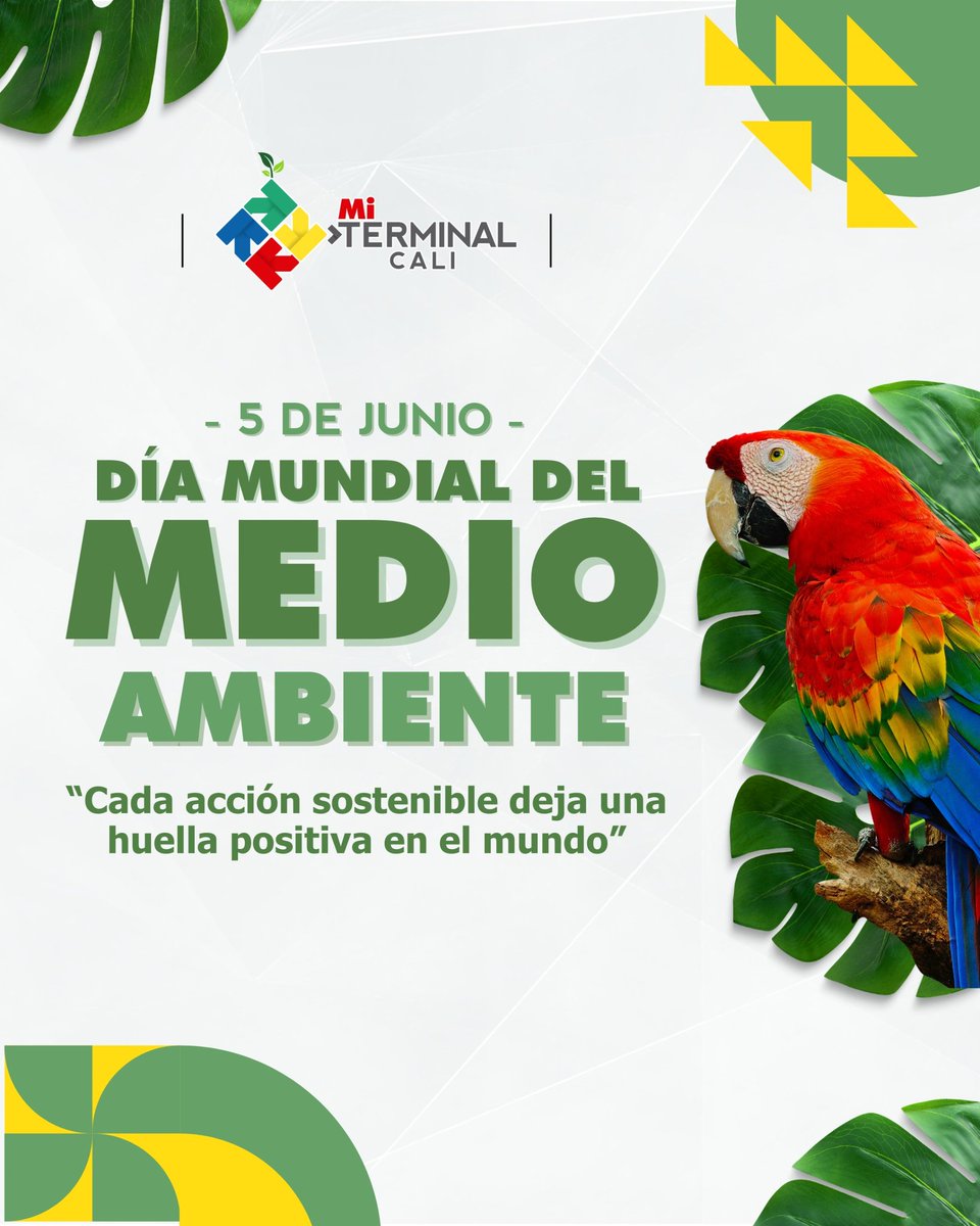 🌱 ¡Hoy es el día, pero la acción es todos los días! 🌎

En Mi Terminal Cali nos unimos al #DíaDelMedioAmbiente con un compromiso real.♻️✨

✅ Recicla ✅ Ahorra energía ✅ Cuida los espacios verdes

"Porque no hay planeta B… ¡Es ahora o nunca!" 💚
