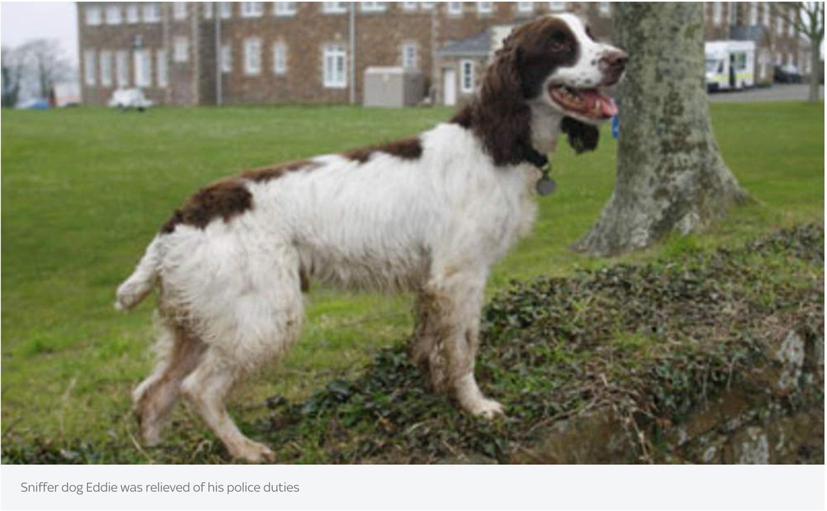 harryrag tweet media