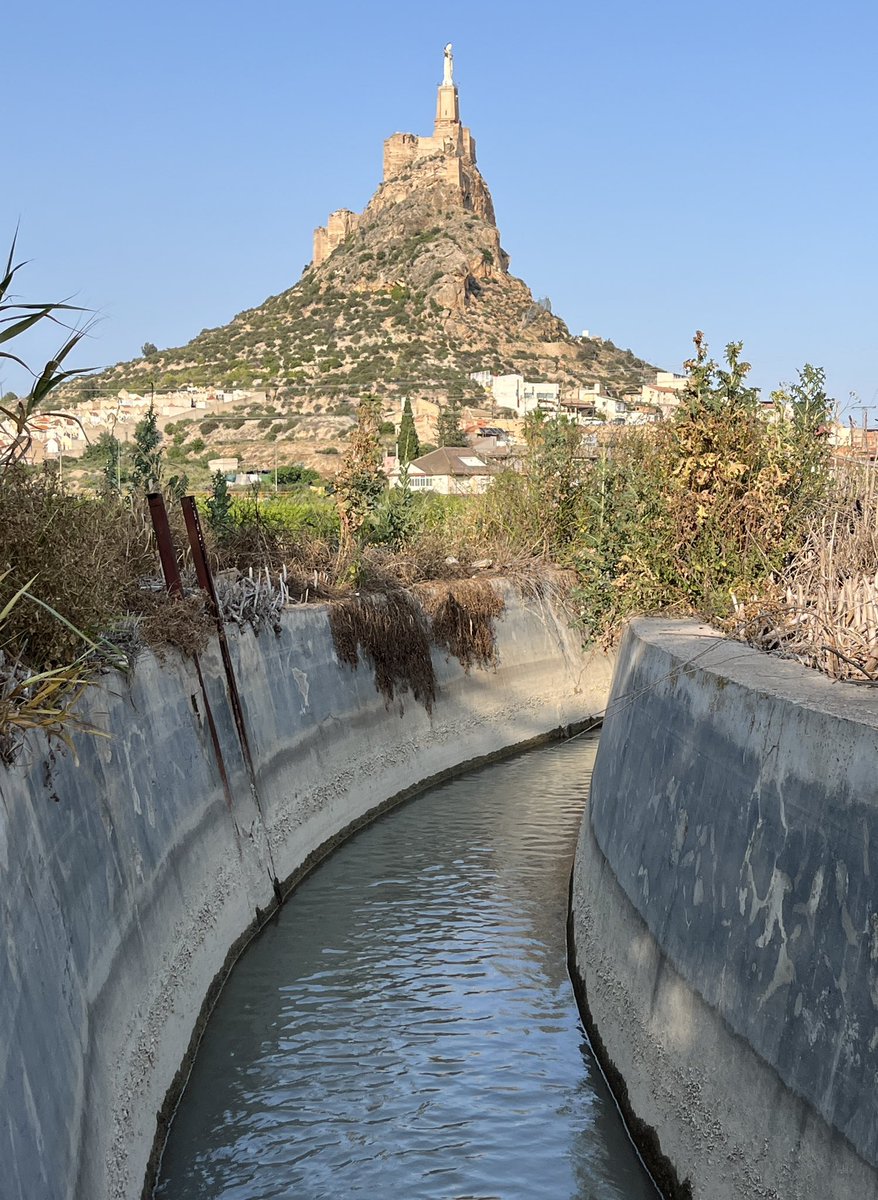 🍋 La acequia Zaraiche nace en la pedanía de La Albatalía pasado el Molino del Amor.

Recorrerá 18 km por la Huerta de #Murcia, pasando por Santiago y Zaraiche, Zarandona, Monteagudo, El Esparragal y Santomera.