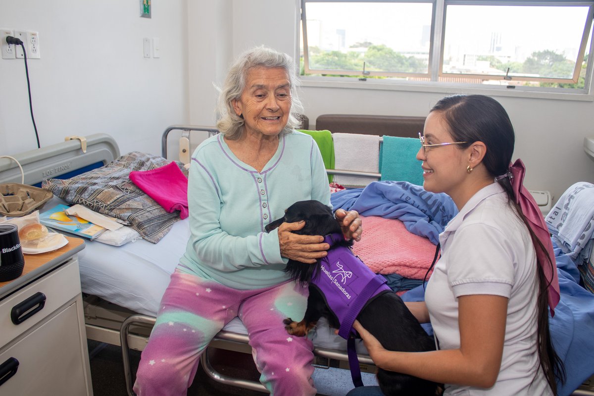 Hoy nuestro hospital 🏥 se llenó de patas, colitas y muchos corazones, latiendo fuerte 🩵. 
Tuvimos la visita de Ángel, Ema y Ciruela 🐶, tres peludos que no necesitaron palabras para despertar alegrías en nuestros pacientes. Con sus miradas nobles y su ternura sin condiciones,