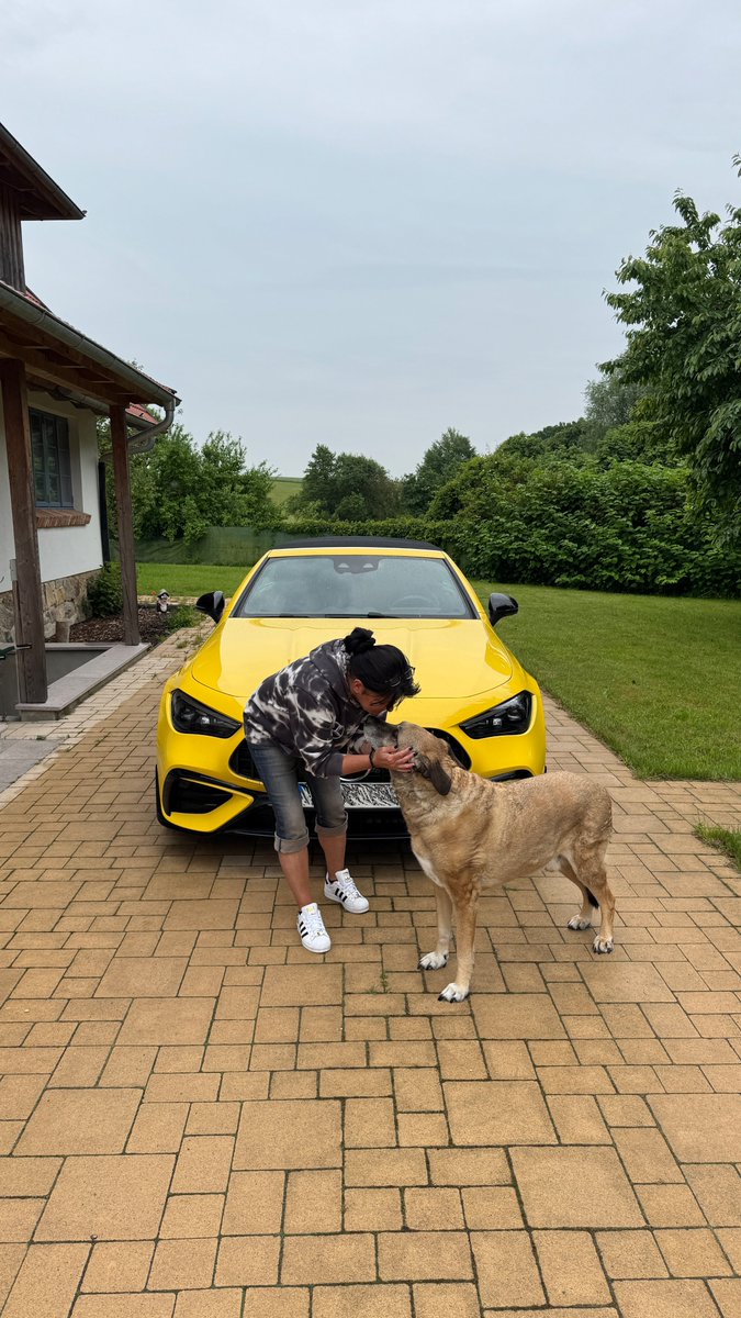 AMGFamily63's tweet photo. Marley - the #AMGDog 💛🐶🖤
@MercedesAMG #AMG #AMGFamily #WorldsFastestFamily #WeLovePerformance @WoodlandNomad @keithhi48929916 https://t.co/8WPMlVqvtH