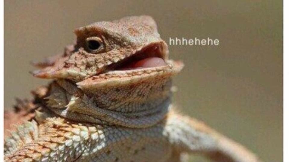 just going to leave this here