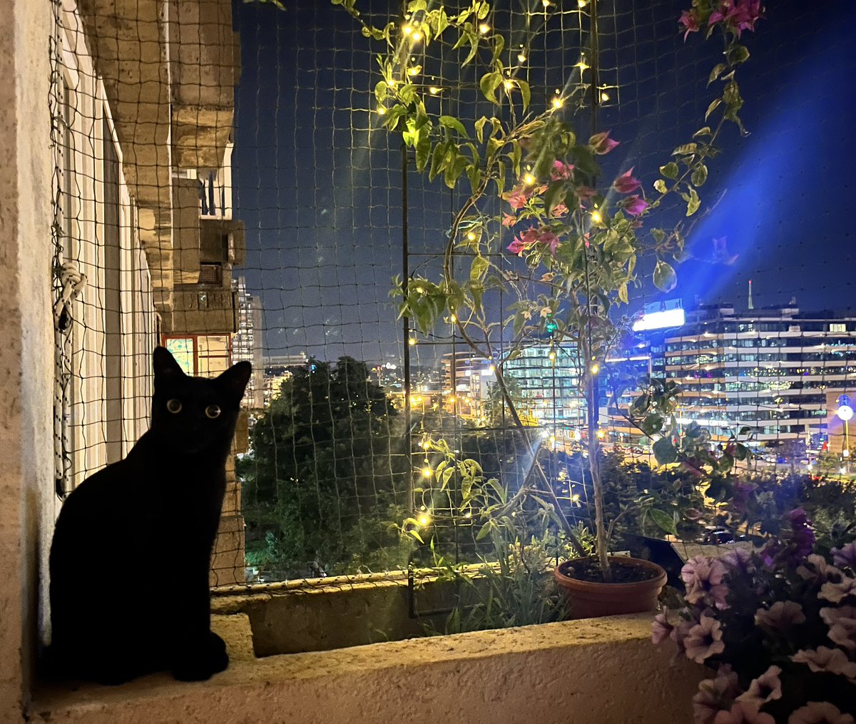 najbolje društvo na terasi