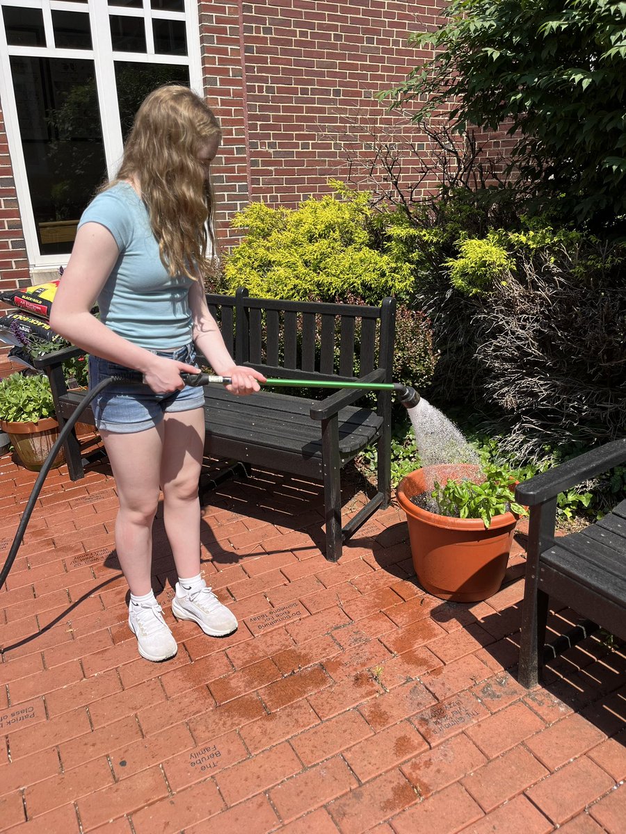 Ms. Phan tweet media