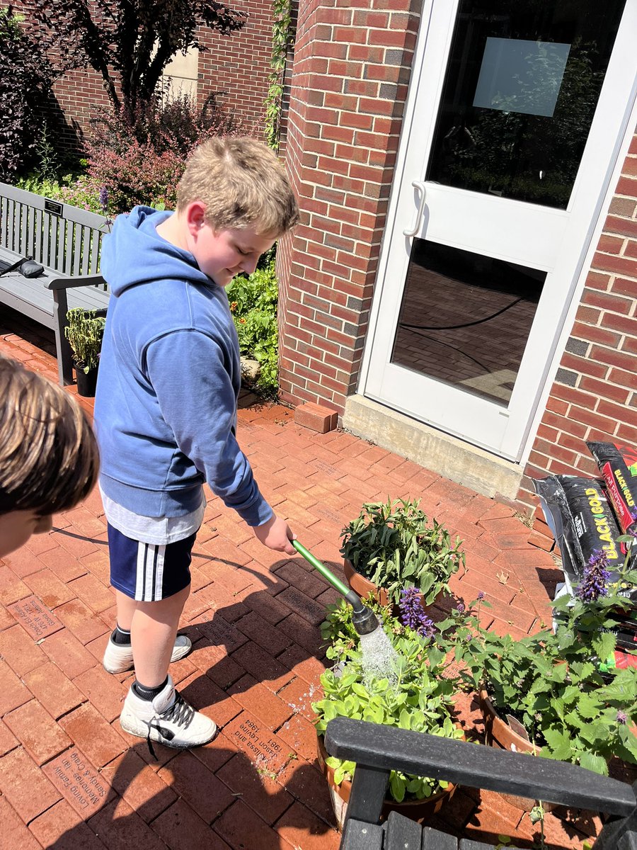 Ms. Phan tweet media