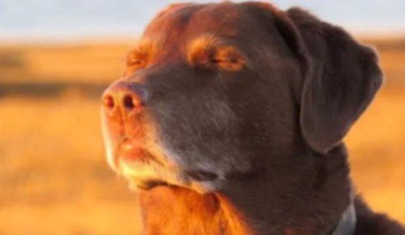 Crypto holders watching Trump and Elon argue like little children.