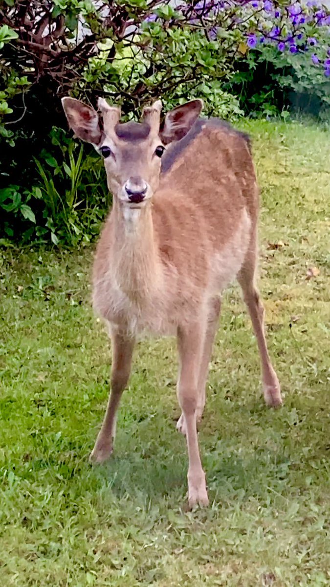 Alex Armstrong 🍺🌈 tweet media