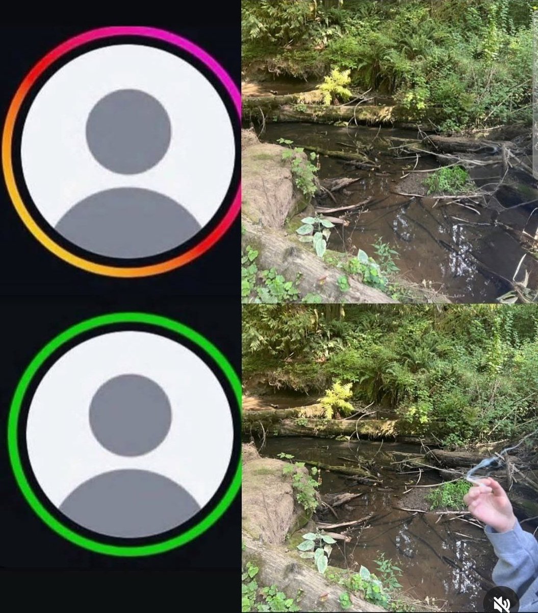 Weed Porn tweet media