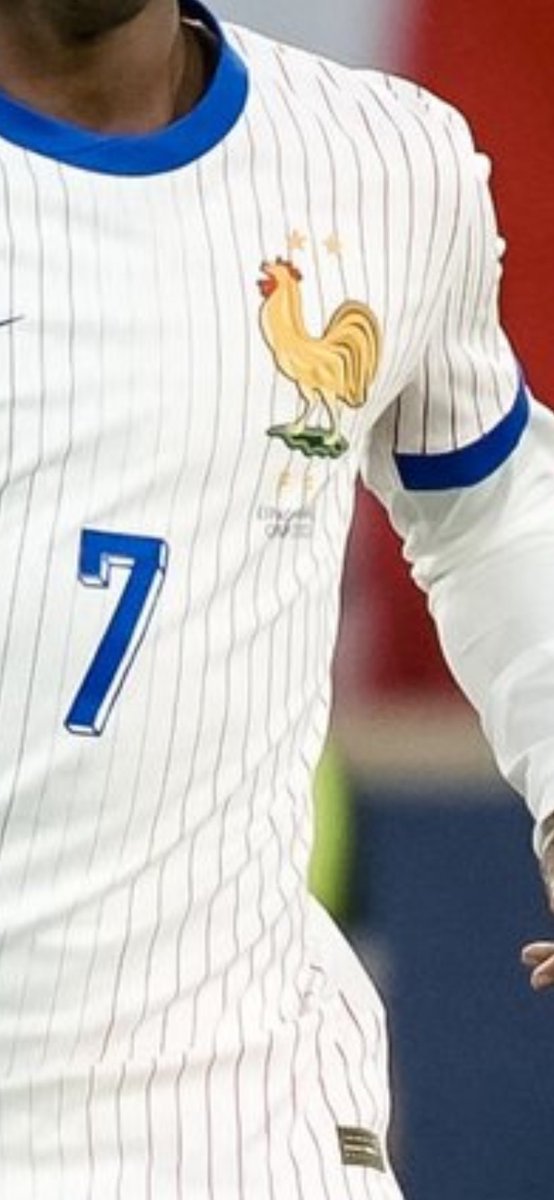 The size of that Coq <a href="/equipedefrance/">Equipe de France ⭐⭐</a>