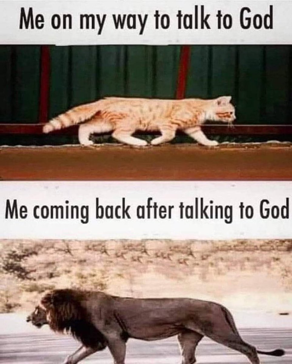 churchtalkative's tweet photo. https://t.co/r4FICp8of8