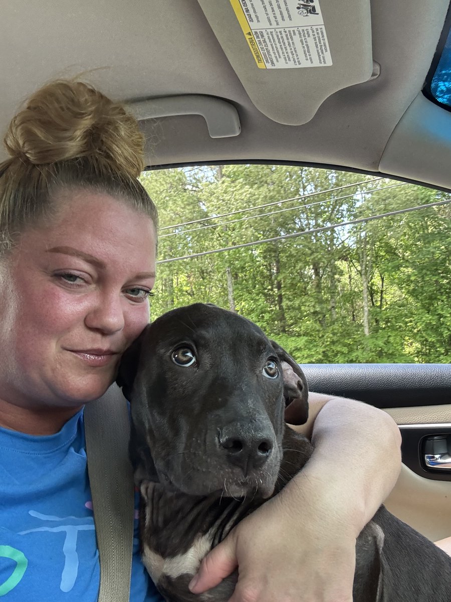 PawBoost tweet media