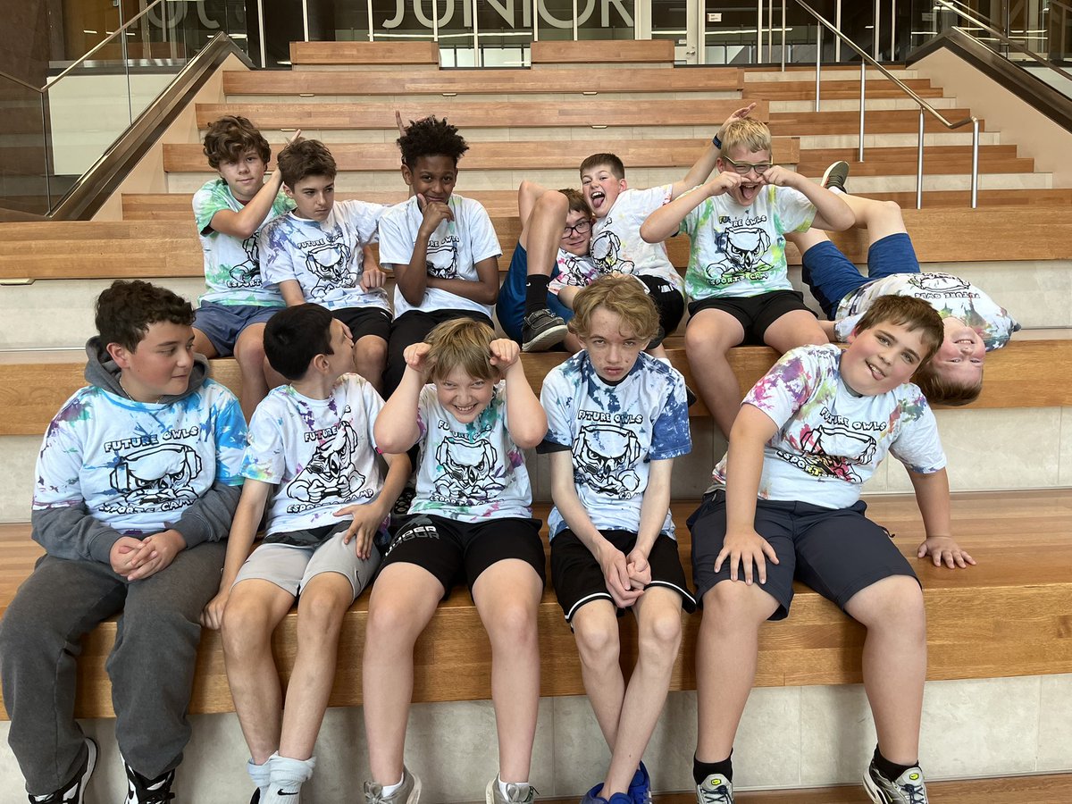 OW ESports tweet media