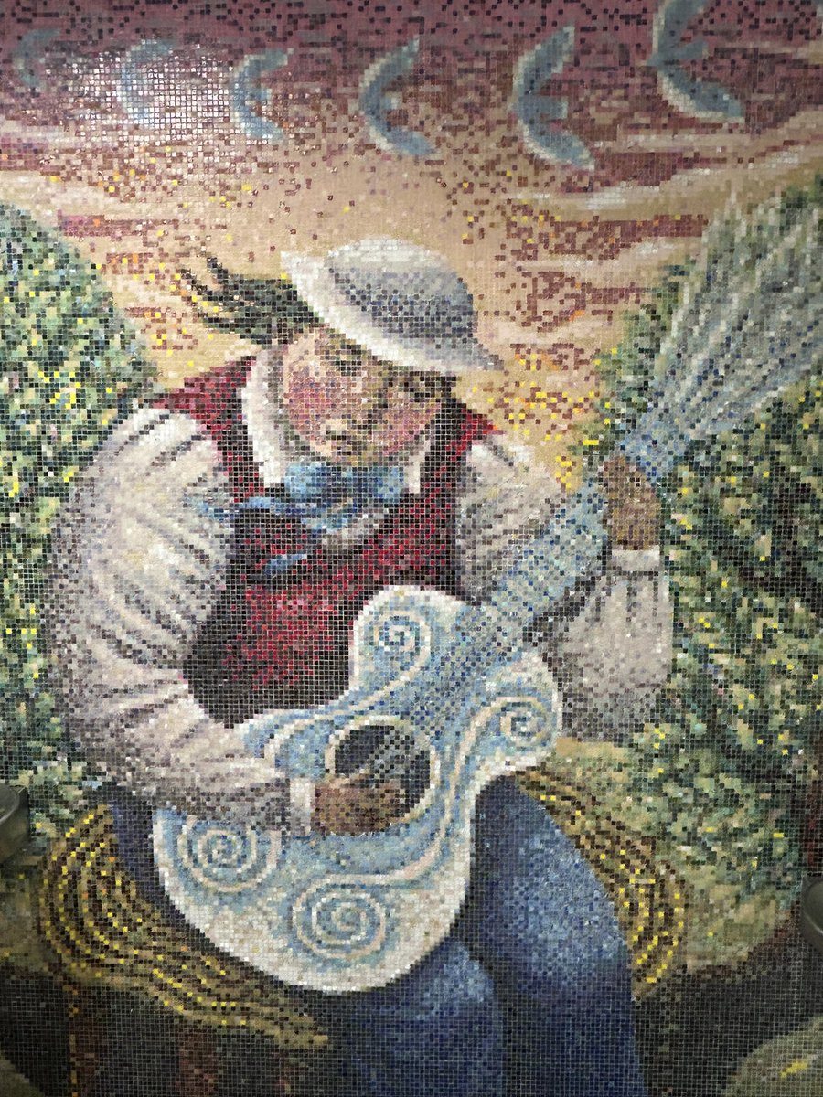 Pet Symmetry tweet media