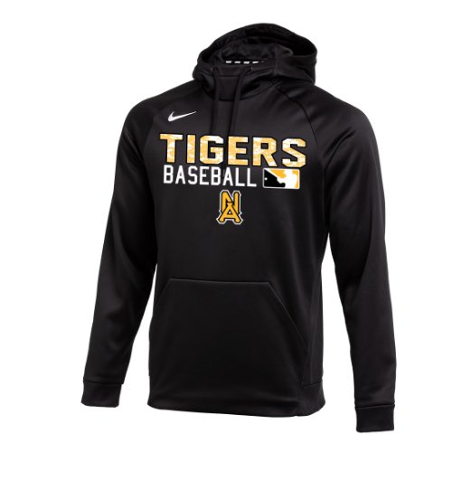 2025 Summer North Allegheny Baseball Team Store

Link: bsnteamsports.com/shop/gUKTuSvDz2