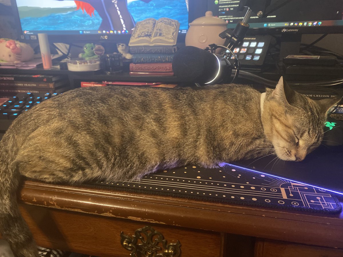 MiLadyCyto's tweet photo. She has been like Velcro… I have not been able go anywhere without her clinging… since I got back into town. https://t.co/Y7dPdBJv0m