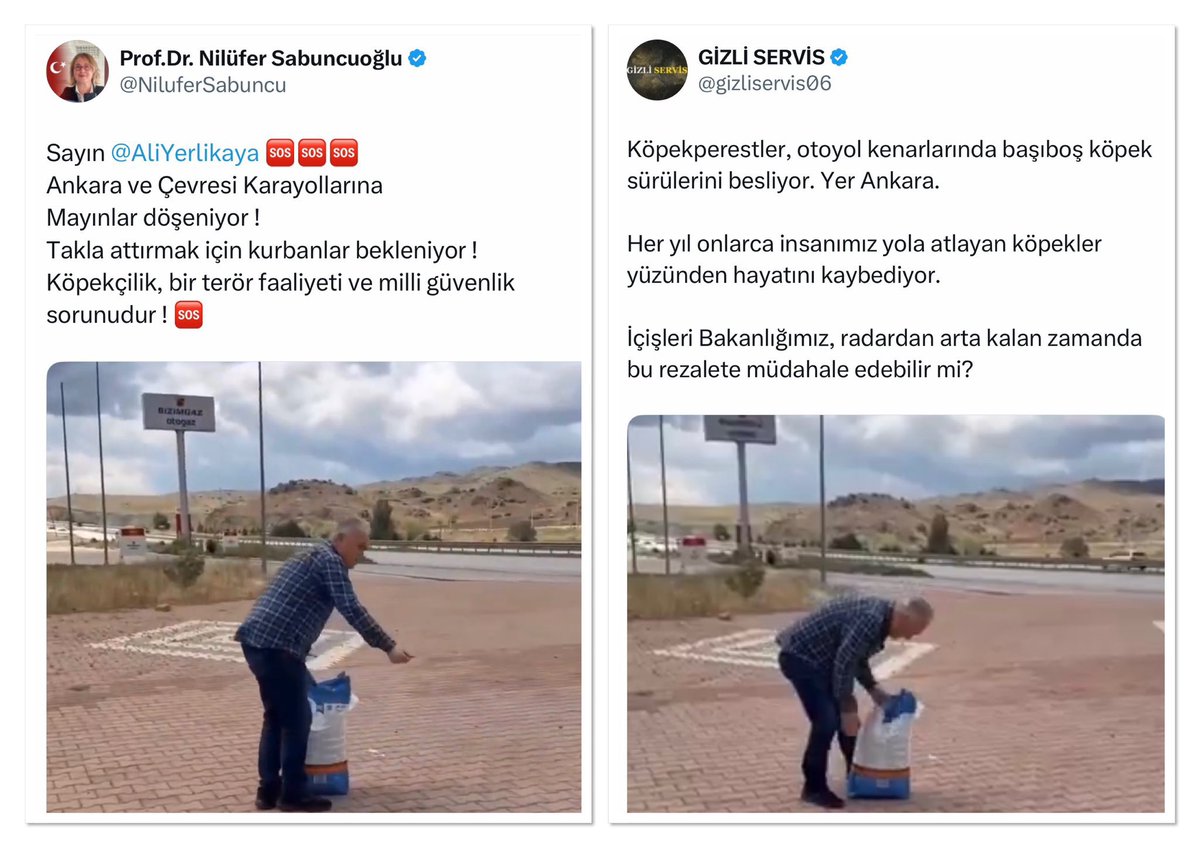 guliz_gunduzz's tweet image. Ne kadar sevgisiz büyüdüyseniz hayvanların biraz beslenmesi sevilmesi ağırınıza gidiyo. Yazık be size. Bu kadar nefretle yaşamak da ağır. Lafa bak bi de bu kadın vet hekim. Bi doktor insan için şunu söyleyebilir mi? Söyleyemez ama işte… neyse… umarım şifa bulursunuz.