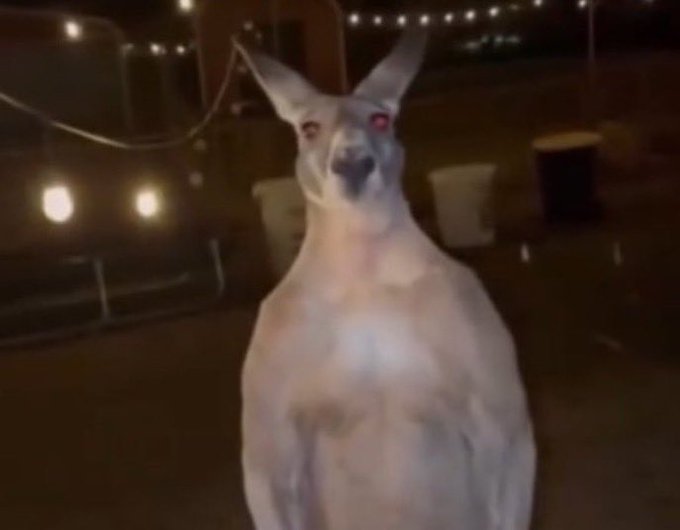 RiB. ☁️ tweet media