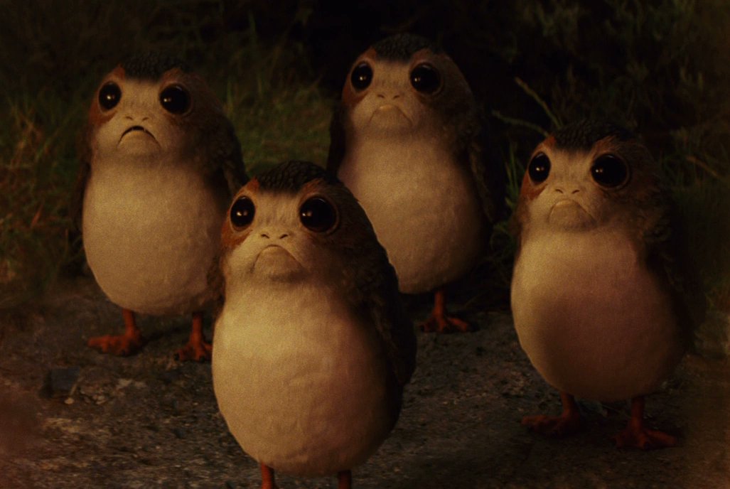 Star Wars Daily tweet media