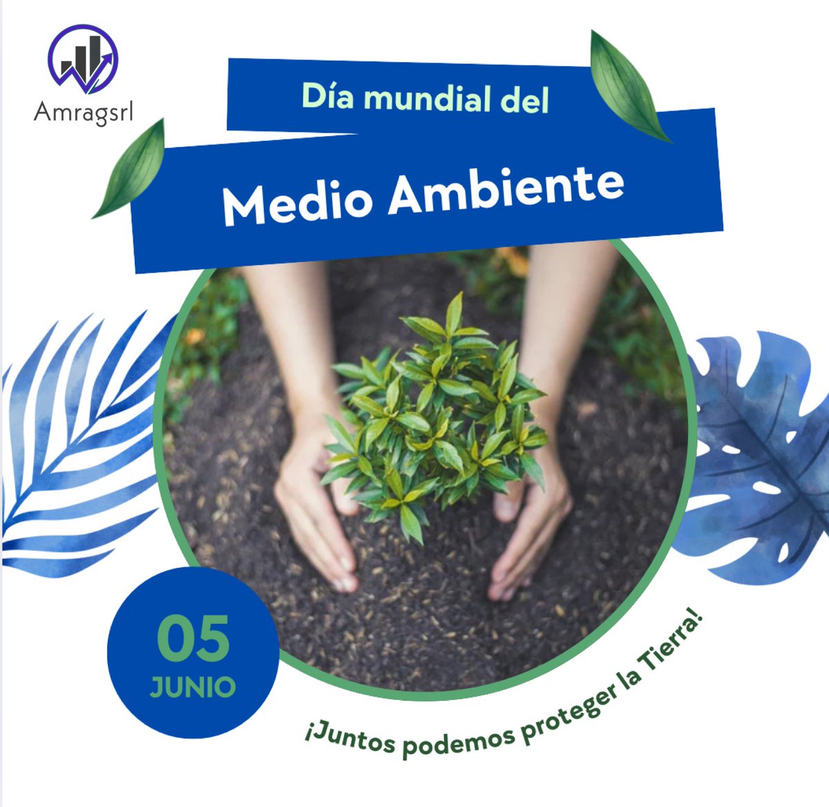 El Día Mundial del Medio Ambiente es una oportunidad para reflexionar sobre nuestro impacto en el planeta y tomar medidas para construir un futuro más sostenible.