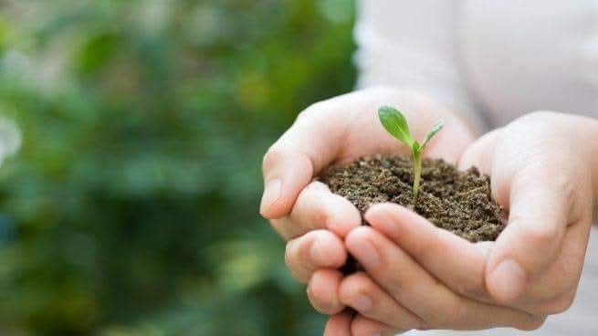 🌱La 
<a href="/ONU_es/">Naciones Unidas</a>
 estableció desde 1972, el 5 de junio como Día Mundial del Medio Ambiente, con el objetivo de concientizar y sensibilizar a la humanidad por una vida más sana y en armonía con la naturaleza. 

#CuidemosElMedioAmbiente