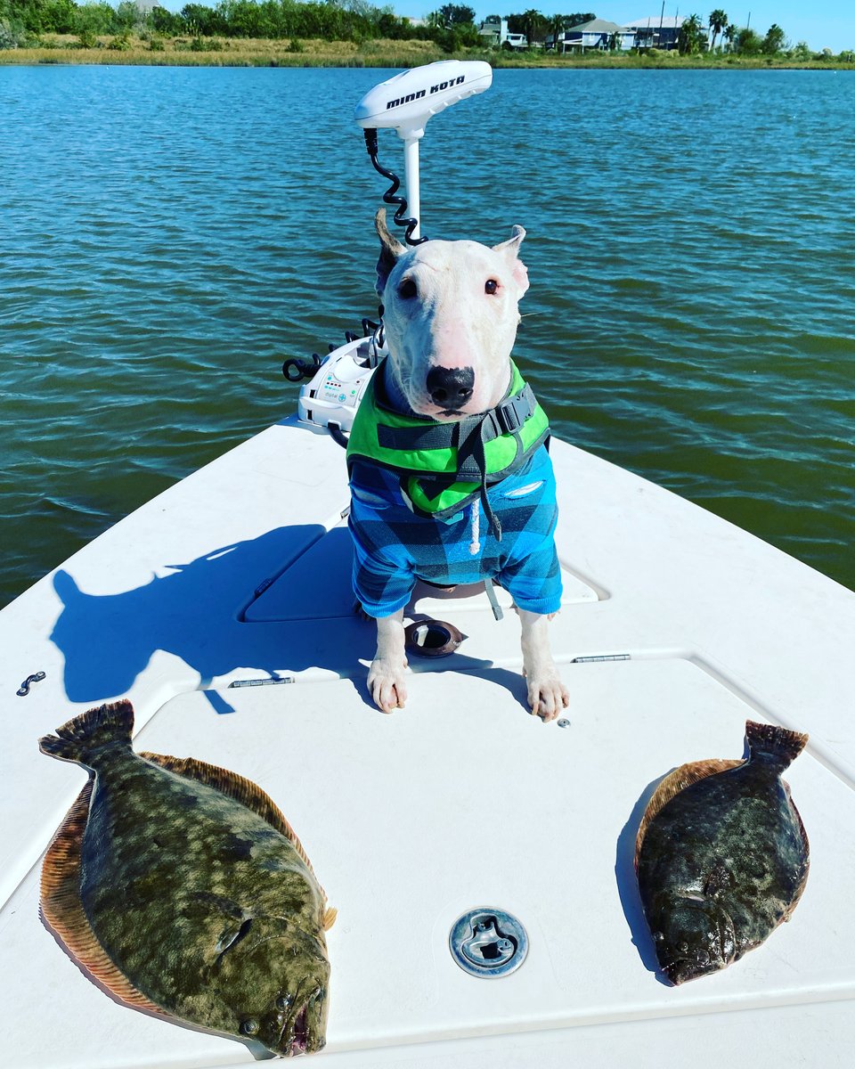 NOAA Fisheries tweet media