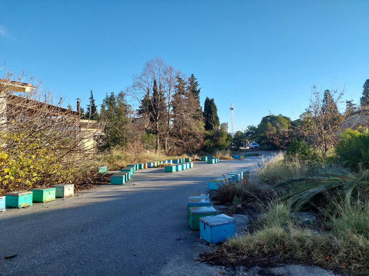 Celebrating the #WorldEnvironmentDay2025 , members of the the ETAIN project inspected the antena must for the RF-EMF exposure experiments on insects and bees especailly. Becasue Planetary health matters! Find more here:  etainproject.eu
