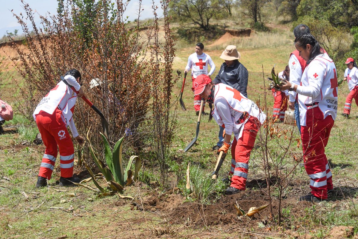 CruzRoja_Edomex's tweet photo. Conmemoramos el #DíaMundialDelMedioAmbiente con restauración hidrológico-forestal de cuencas.

El objetivo fue recuperar la fertilidad de 20 hectáreas de bosque en el predio La Cañada, en #Temoaya.

👇🏽
https://t.co/PLrcMaoYFY https://t.co/nKpDw2dVjU