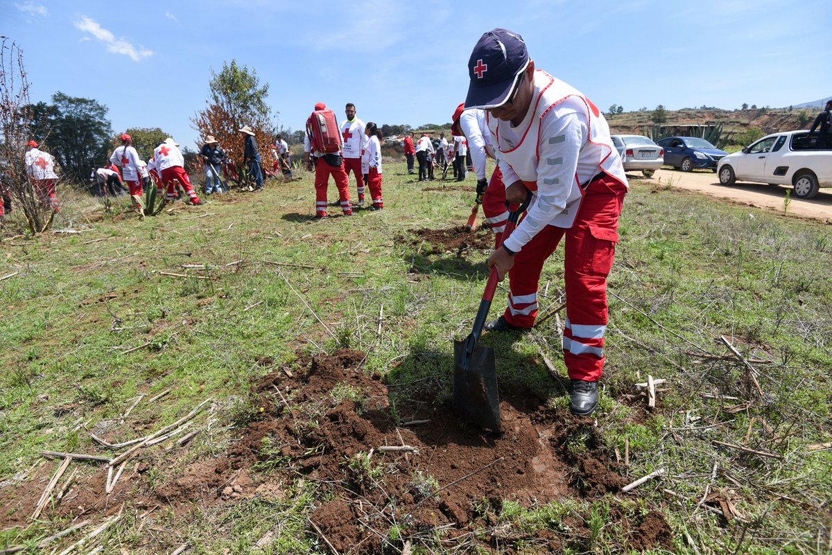 CruzRoja_Edomex's tweet photo. Conmemoramos el #DíaMundialDelMedioAmbiente con restauración hidrológico-forestal de cuencas.

El objetivo fue recuperar la fertilidad de 20 hectáreas de bosque en el predio La Cañada, en #Temoaya.

👇🏽
https://t.co/PLrcMaoYFY https://t.co/nKpDw2dVjU