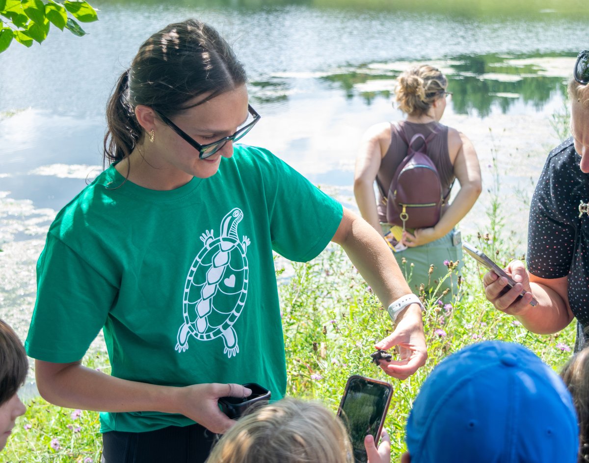 Tenth annual turtle release event this summer at Morrison Dam. lakeshoreadvance.com/news/tenth-ann…