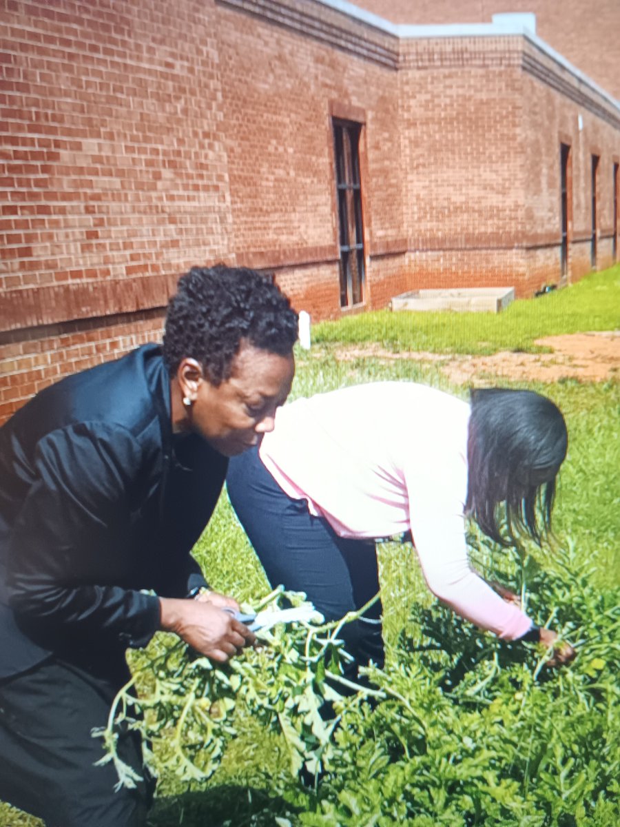 Willie Holmes tweet media