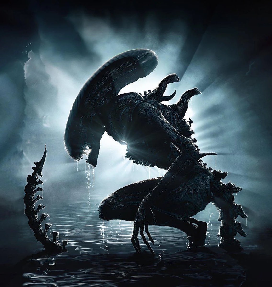 HorrorNews_fr's tweet photo. 👽 « Alien: Romulus 2 » démarrera son tournage cet automne.

Fede Alvarez sera de retour à la réalisation. https://t.co/HAvjrZLXTm