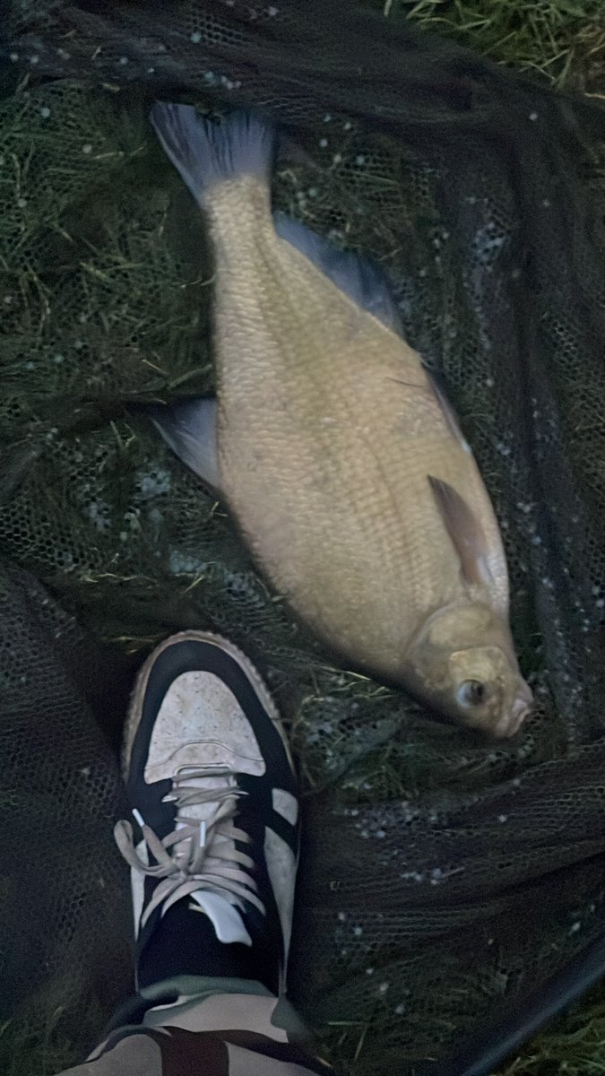 FML!!!
What a blank saver was so not worth it sitting it out in the rain for a snot bag I’m going home! 🤣
<a href="/5calesandtails/">scalesandtails</a> 
#bream #fishing #carpfishing #rain #britishweather #fishingtrip