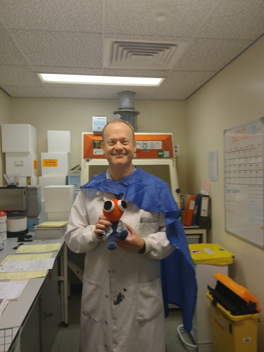 Sam wright tweet media