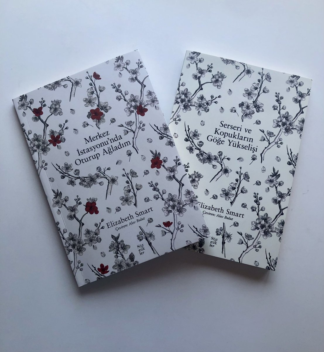 Uzun süredir bu kadar iyi bir şiirsel düzyazı okumamıştım. 
Yazdığı şiirler üzerinden şair George Barker’a aşık olan Elizabeth’in bu aşka yaktığı bir ağıt bu kitaplar ❤️

📚Merkez İstasyonu’nda Oturup Ağladım
📚Serseri ve Kopukların Göğe Çıkışları

<a href="/DergiSozcukler/">Sözcükler Dergisi</a>