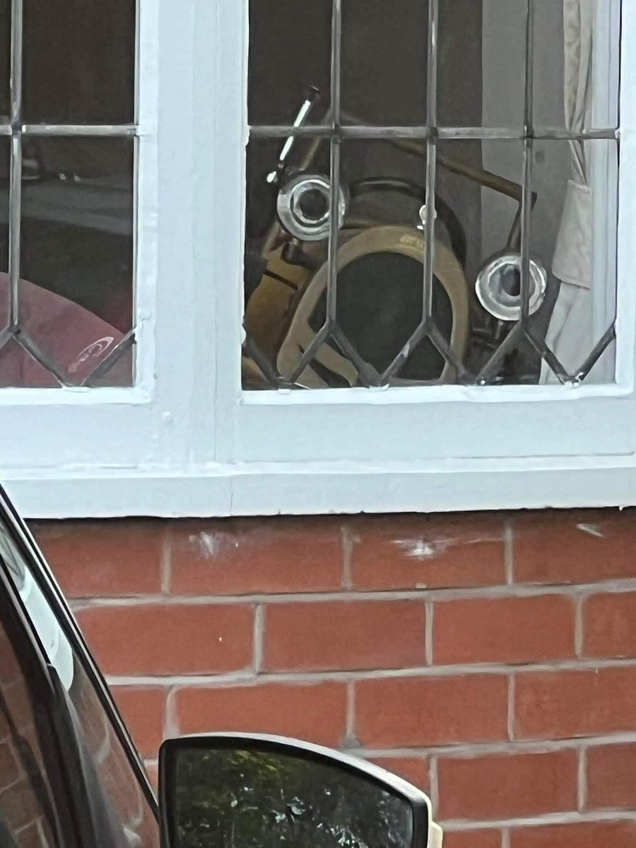So thats where Brum has gone !!! He's been f**king kidnapped 😮😮