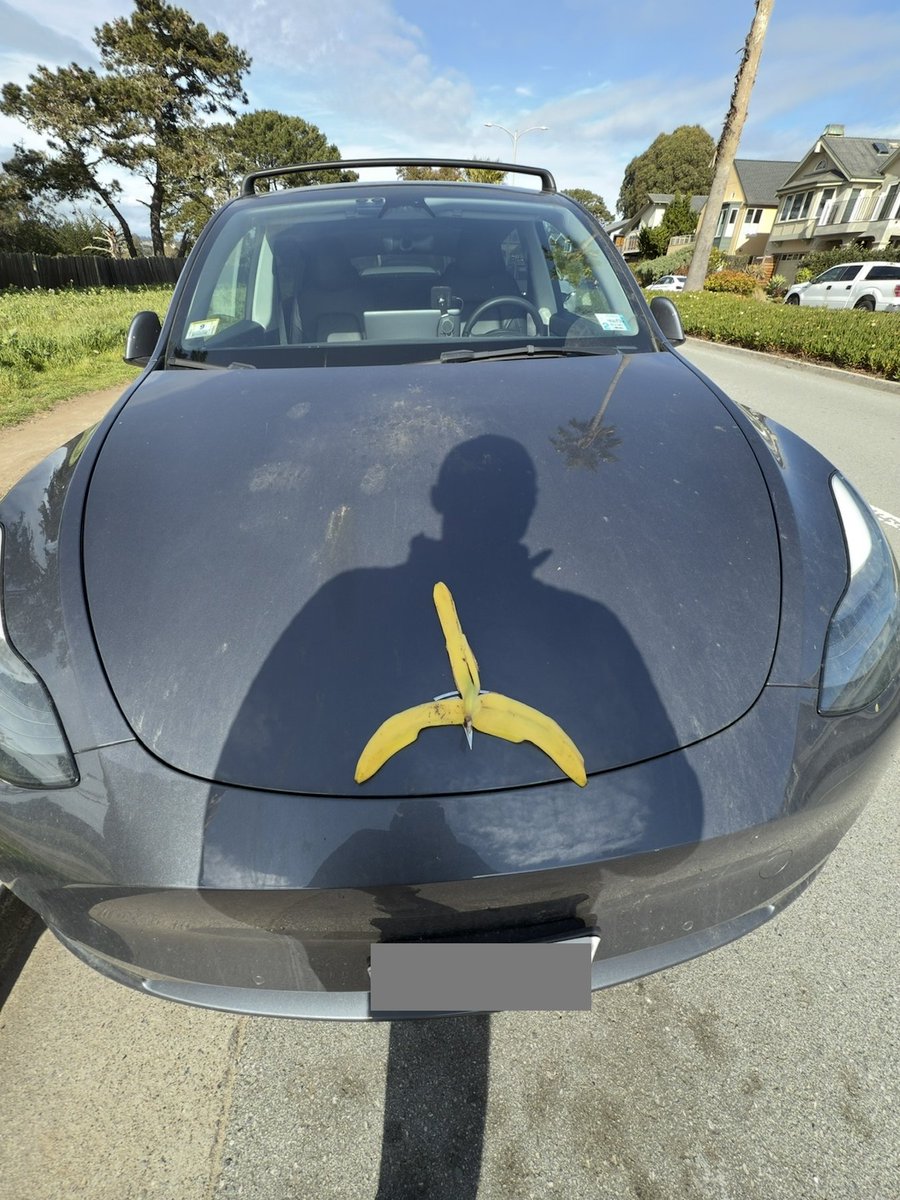 Derek Feehrer tweet media