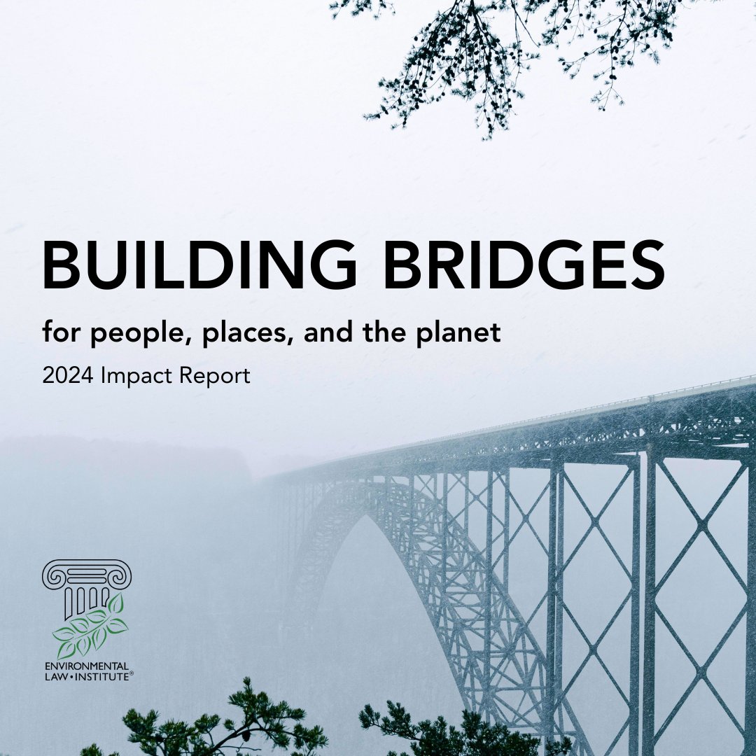 From health to energy, see how we build bridges between law, science, and nature to address pressing and complex environmental challenges. Read our latest impact report here: go.eli.org/buildingbridges