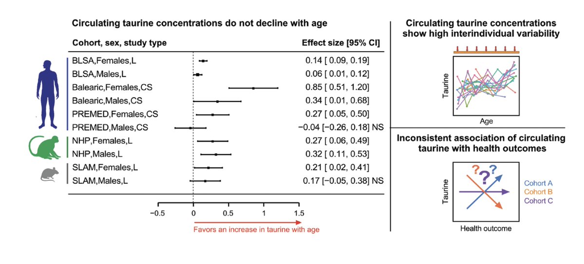 Eric Topol (@erictopol) on Twitter photo Taurine, an amino acid once considered a biomarker for human aging and a candidate for supplementation, shot down <a href="/ScienceMagazine/">Science Magazine</a>
science.org/doi/epdf/10.11⦠Taurine, an amino acid once considered a biomarker for human aging and a candidate for supplementation, shot down <a href="/ScienceMagazine/">Science Magazine</a>
science.org/doi/epdf/10.11ā¦